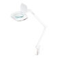 Lampa lupa Elegante 6030 60 led smd do blatu reg. natezenie swiatla
