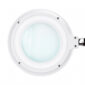 Lampa lupa Elegante 6031 60 led smd 3d ze statywem reg. natezenie swiatla 7