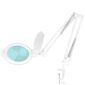 Lampa lupa led Glow Moonlight 8013/6" white do blatu