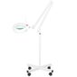 Lampa lupa led S4 + statyw