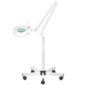 Lampa lupa led S5 + statyw led reg. natezenie swiatla biala