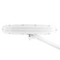 Lampa-warsztatowa-led-Elegante-801-tl-z-podstawka-reg.-natezenie-i-barwa-swiatla-white-5